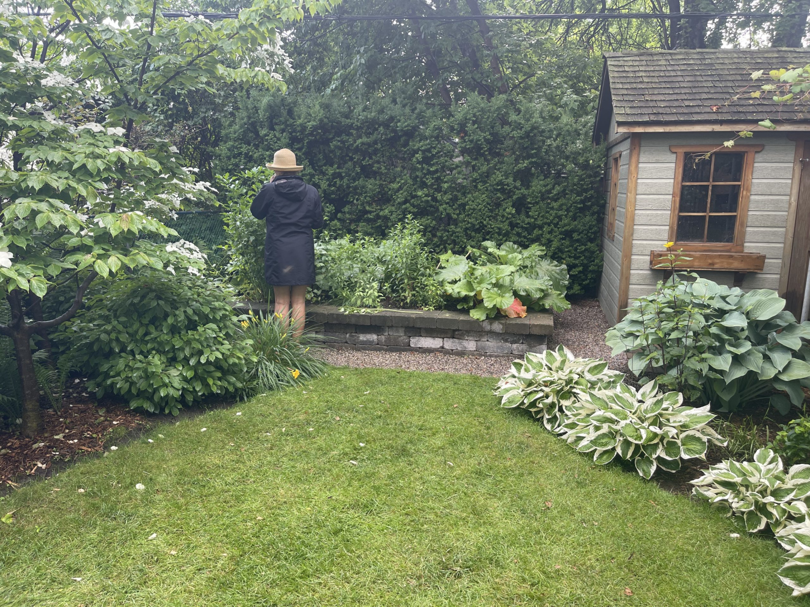 Spring garden preparation in Toronto's climate zone showing soil preparation and native plant seedlings